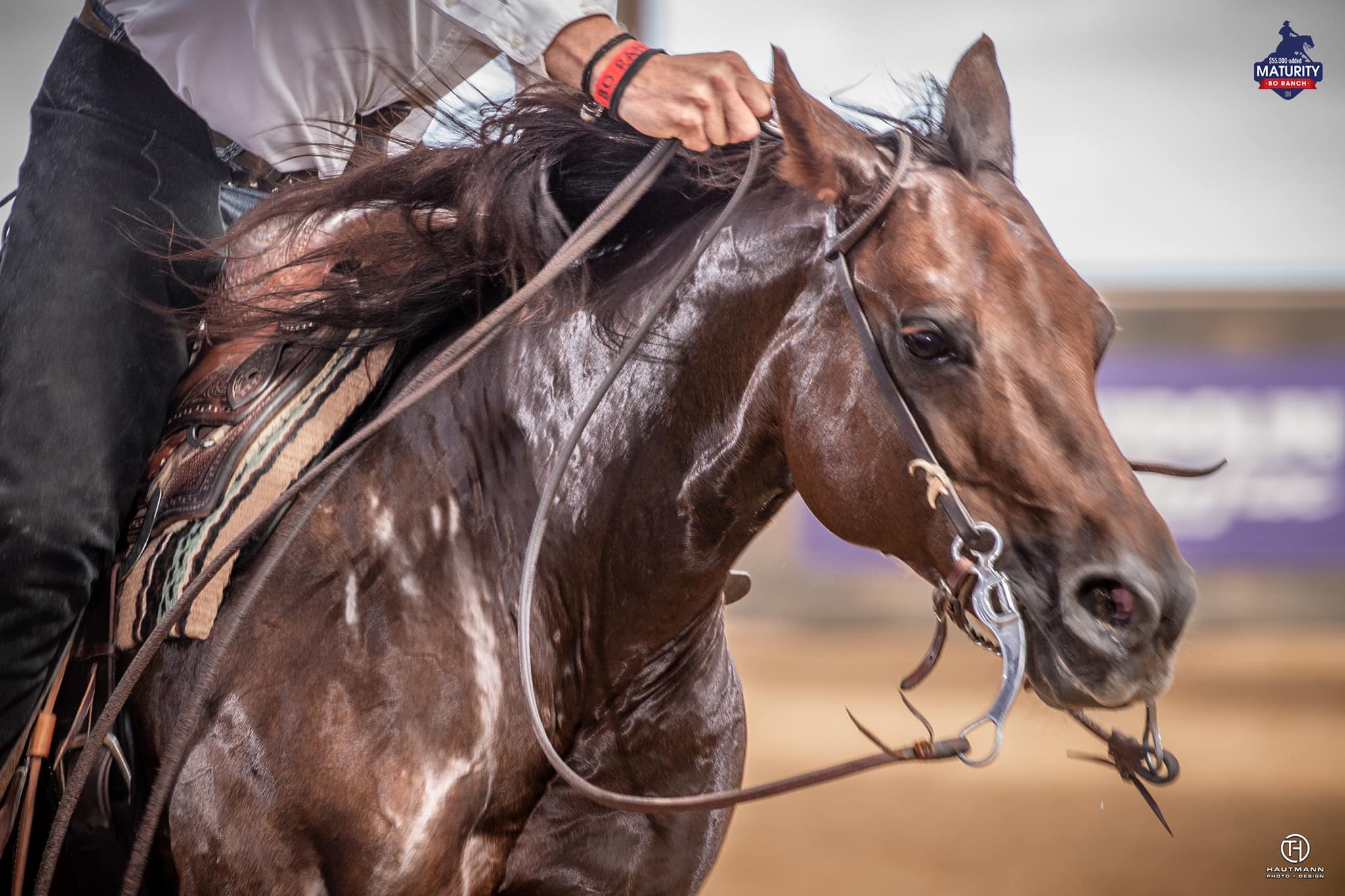 Bill Freeman Correctional bit - long shanks - short spoon